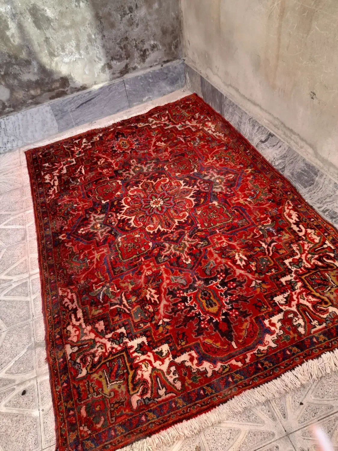 فرش دستباف|فرش|مراغه, |دیوار