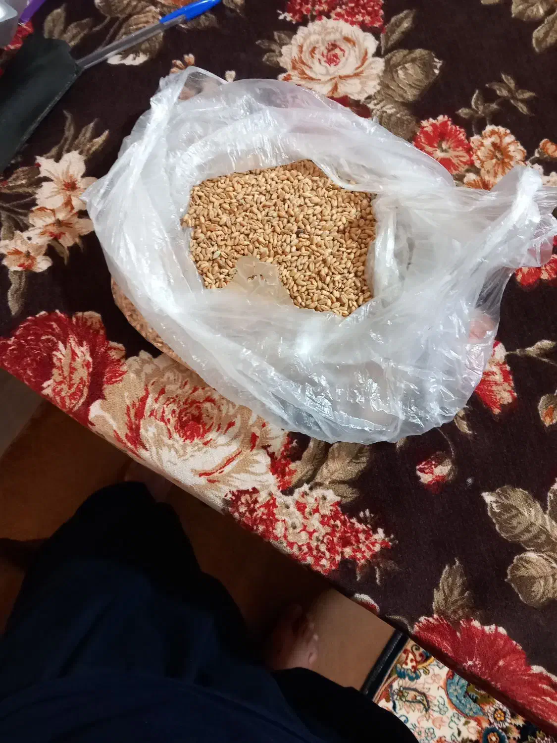 گندم بذری اراز ۱۲تن|خدمات باغبانی و درختکاری|گنبد کاووس, |دیوار