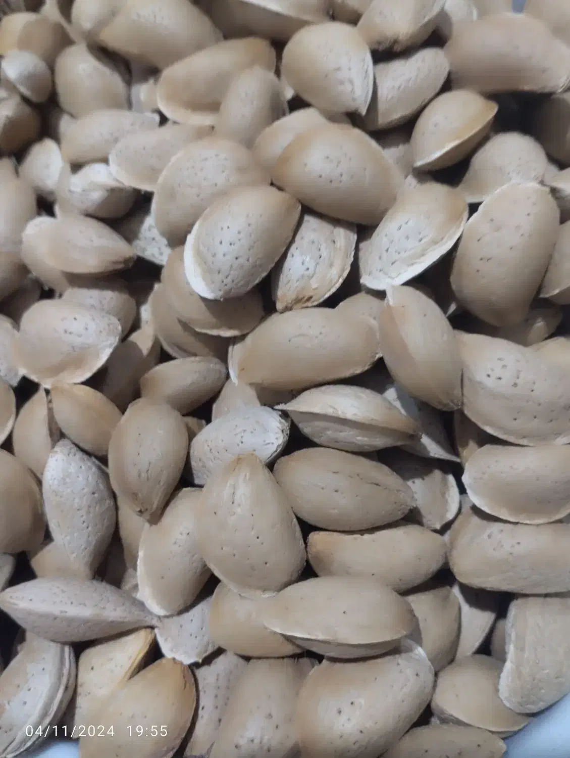 فروش بادام سنگی|خوردنی و آشامیدنی|خانمیرزا, |دیوار