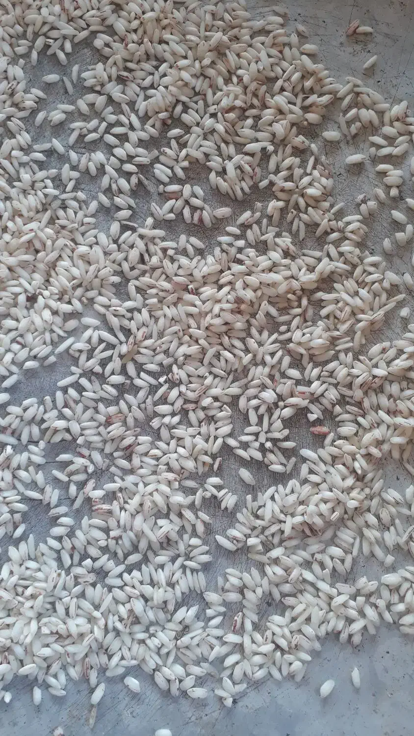 برنج قلوه|خوردنی و آشامیدنی|گوراب زرمیخ, |دیوار