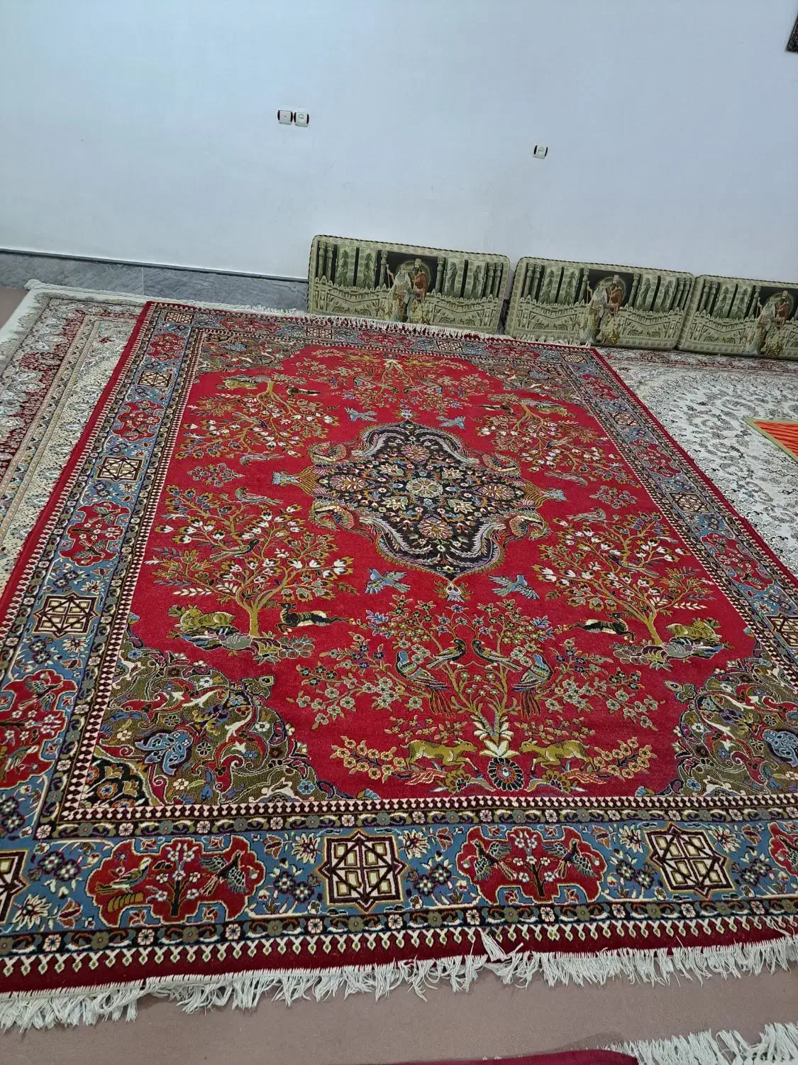 قالی ۱۲ متری تمیز دره شهر|فرش|دره شهر, |دیوار