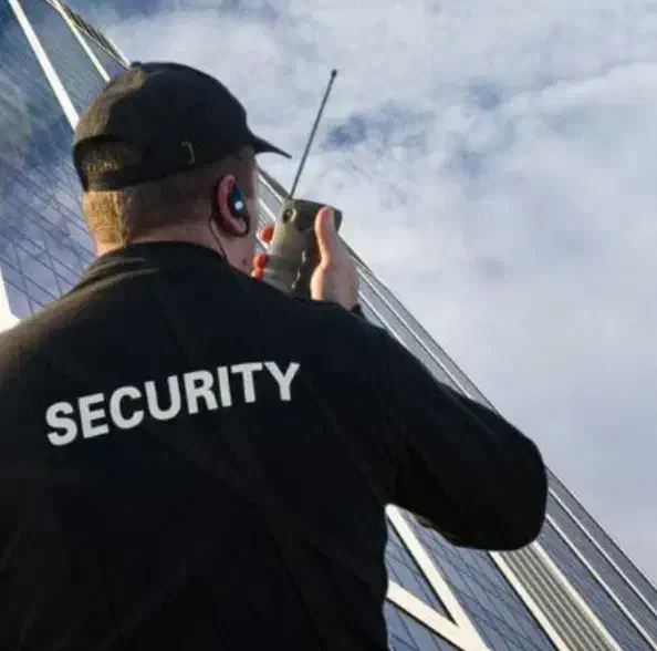 نگهبان|سگ|برازجان, |دیوار