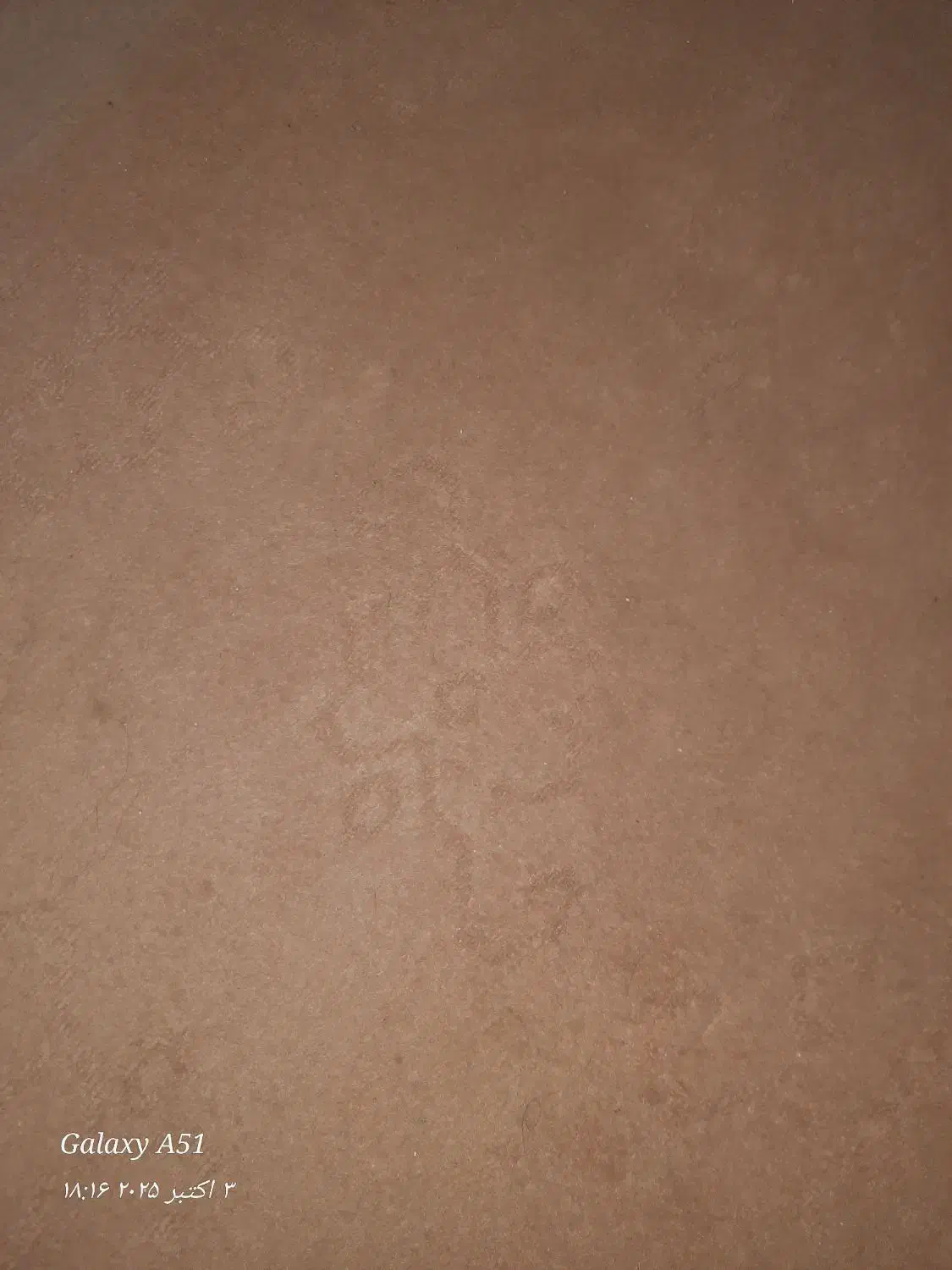 موکت|موکت|چناران, |دیوار