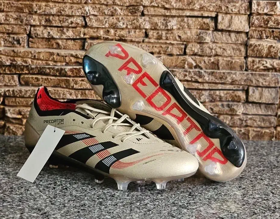 کفش چمن|کیف، کفش، کمربند|کرمان, |دیوار