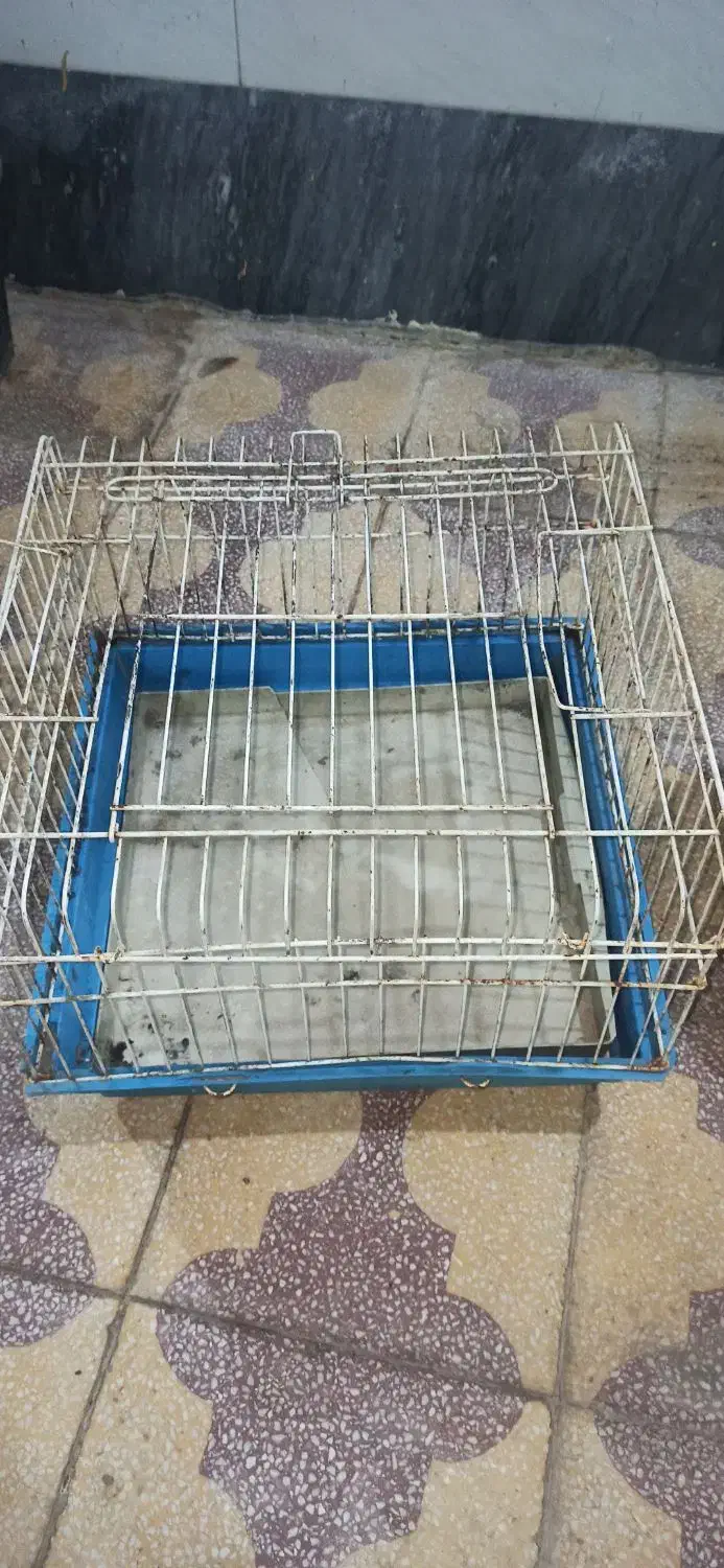 قفس پرنده و جوجه|لوازم جانبی حیوانات|امیدیه, |دیوار