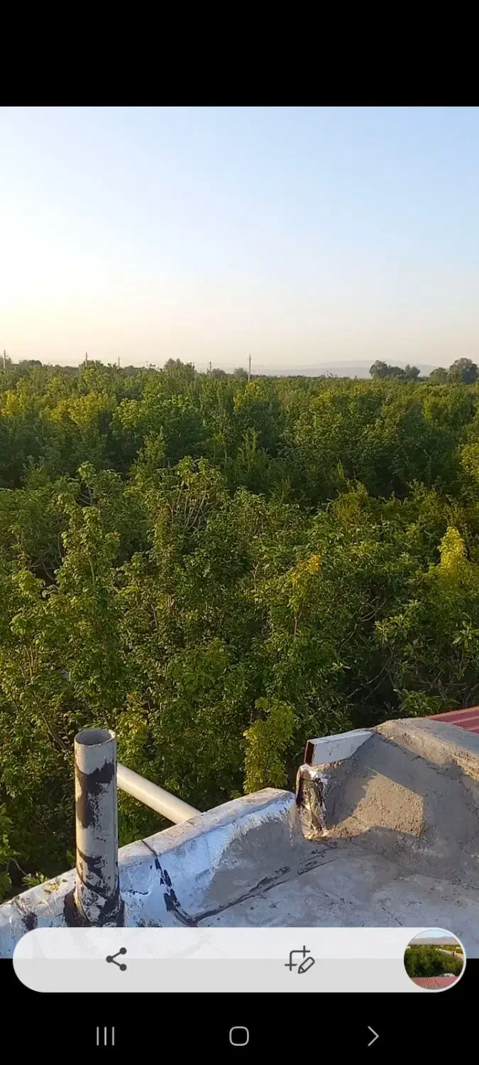 اجاره باغ ویلا تفریح .تولد،سالگردازدواج محمود آباد|اجارهٔ کوتاهمدت ویلا و باغ|ساوه, |دیوار