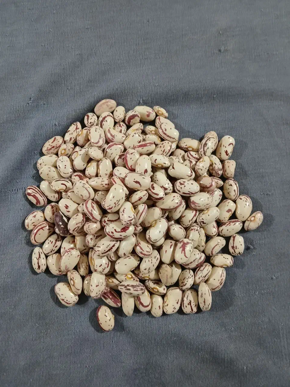 لوبیا چیتی 70روز درشت تازه مال امسال|خوردنی و آشامیدنی|ابهر, |دیوار