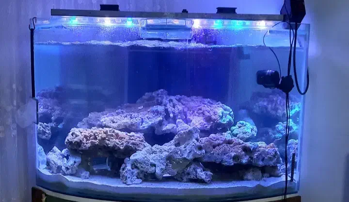 اکواریوم تمام مجهز|ماهی|مشهد, بهمن|دیوار