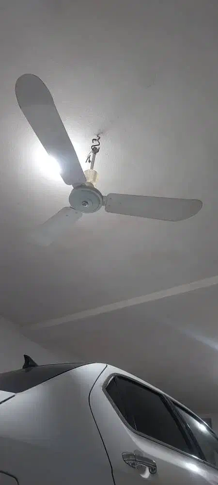 پنکه سقفی|پنکه و تصفیهکنندهٔ هوا|مینودشت, |دیوار