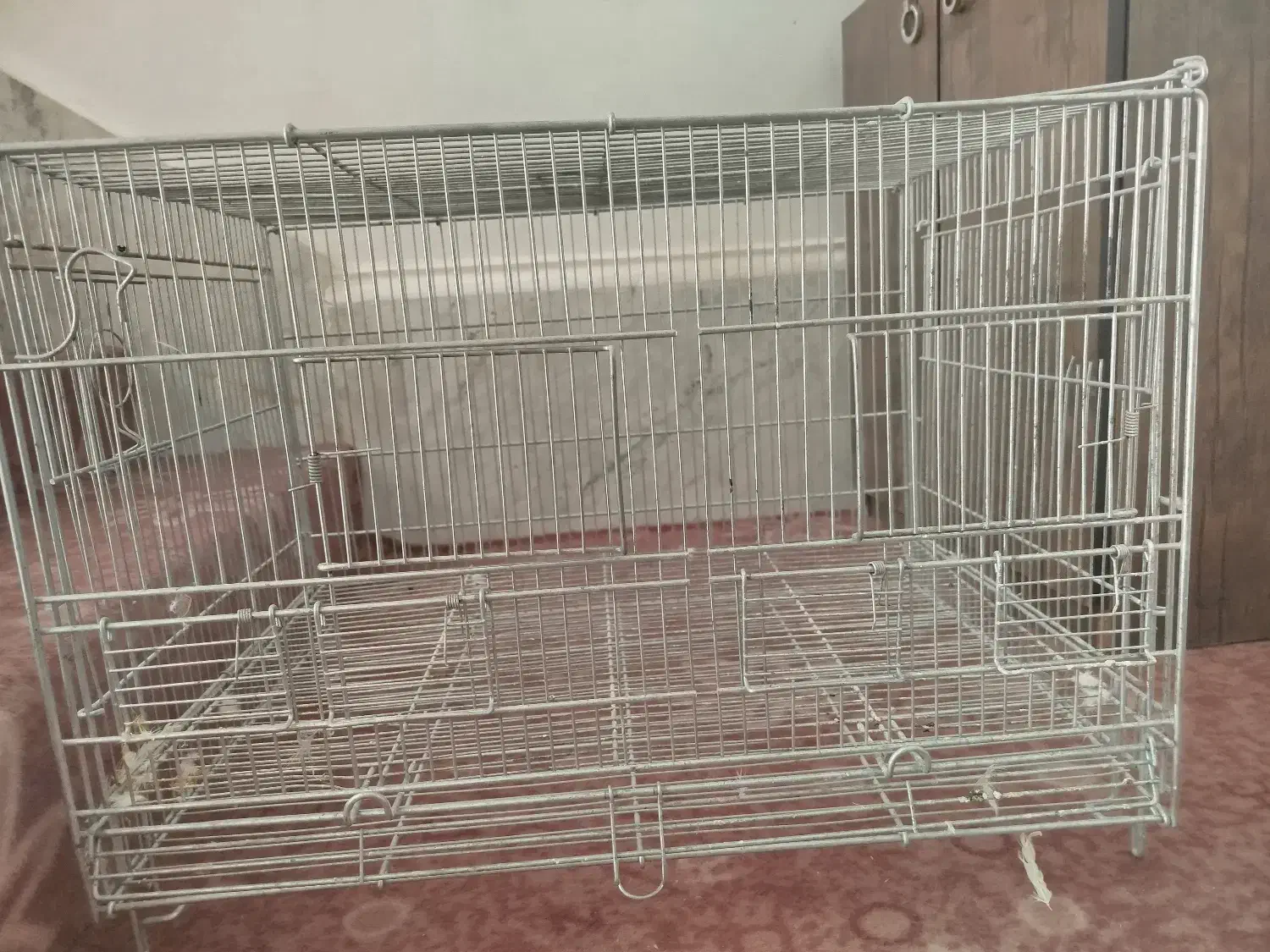 قفس عروس هلندی|لوازم جانبی حیوانات|مرودشت, مسجد رسول‎|دیوار