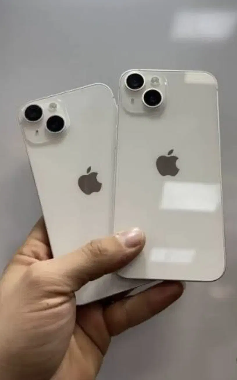 آیفون Iphone 14 (اقساط 3 درصد بدون چک)|موبایل|مشهد, دانشجو|دیوار