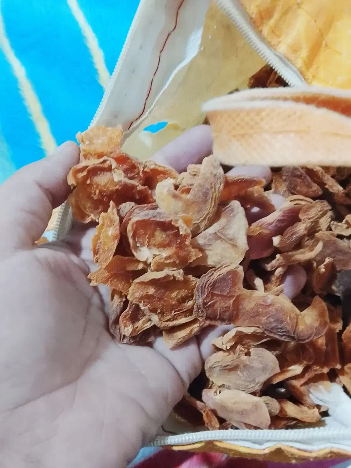 قیسی کیلو 250|عمده‌فروشی|پاتاوه, |دیوار