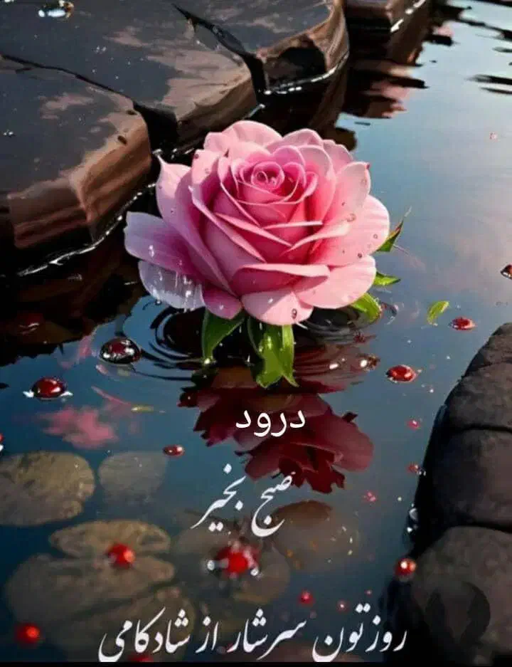 مشارکت در پروژه‌های تجاری با سود ماهانه|مشارکت در ساخت املاک|یزد, |دیوار