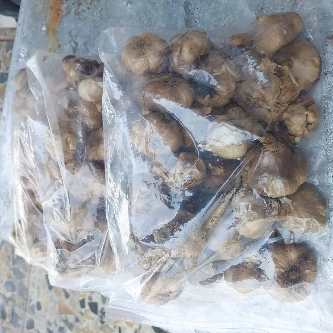 سیر سیاه فله|خوردنی و آشامیدنی|شیراز, شیشه‌گری|دیوار