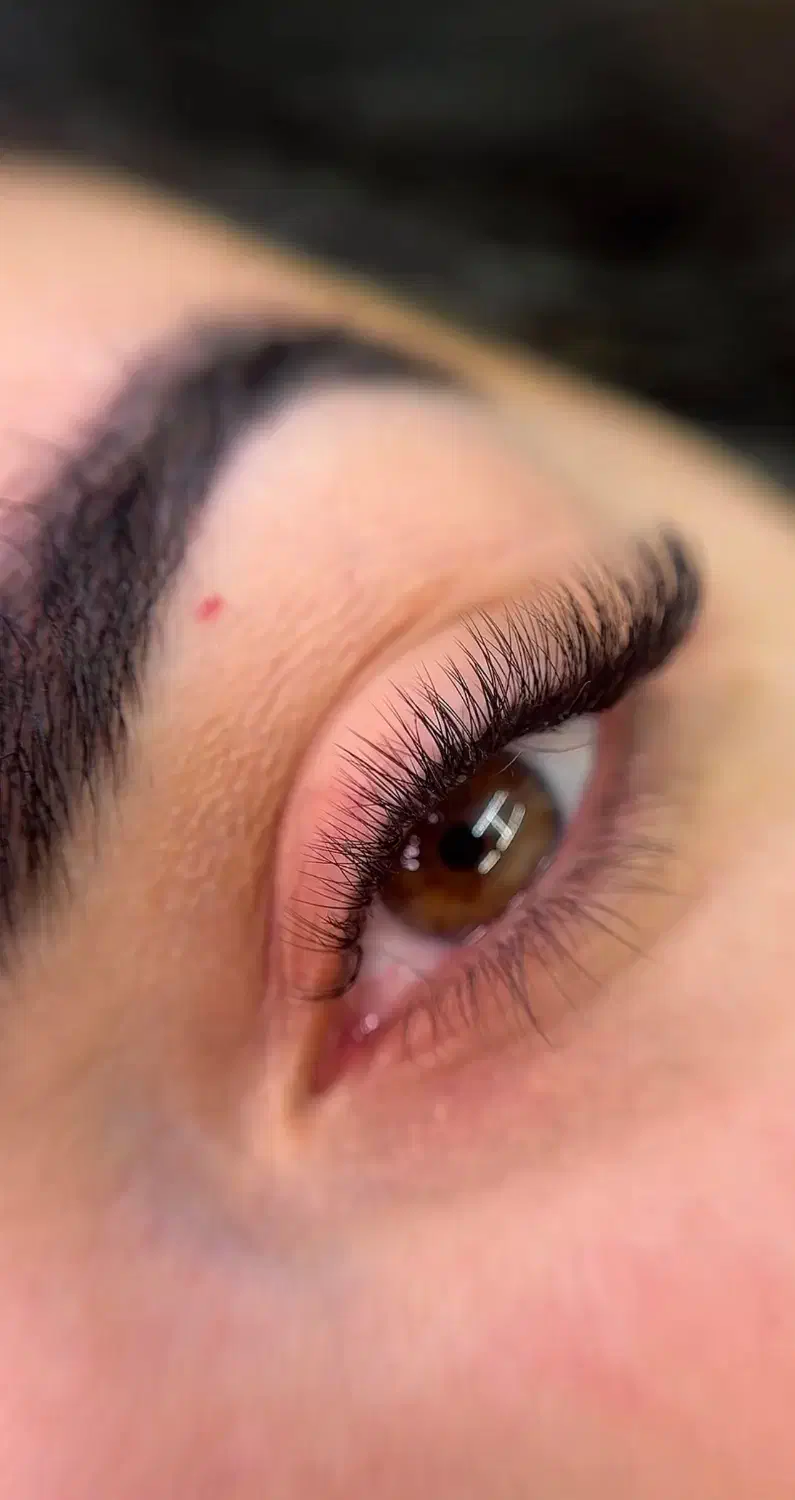 آموزش اکستنشن+(لیفت مژه و ابرو)با مدرک فنی حرفه‌ای|خدمات آموزشی|تهران, دهقان|دیوار