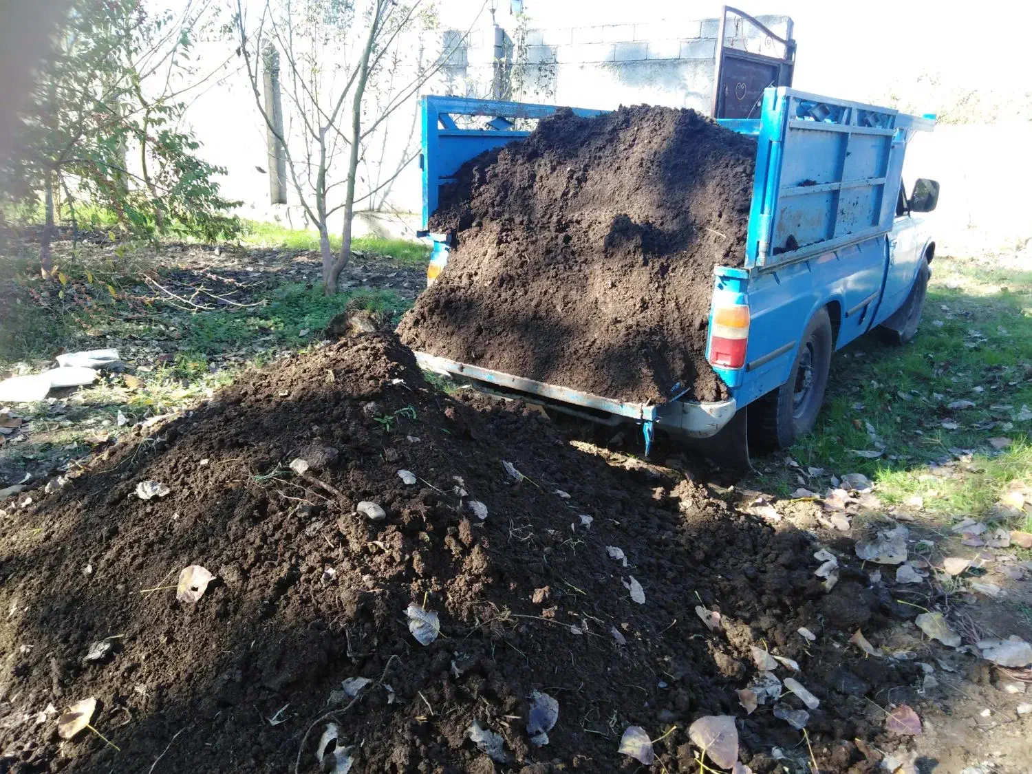 کود حیوانی|خدمات باغبانی و درختکاری|رشت, حومه رشت|دیوار