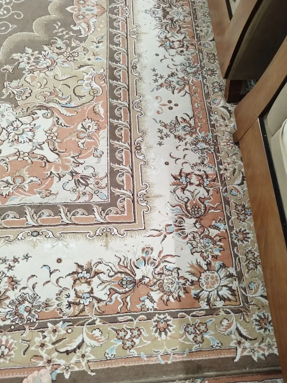 قالی ۱۲ متری جفت|فرش|علی‌آباد کتول, |دیوار