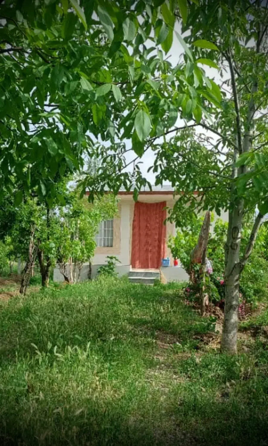 فروش باغ|فروش زمین و ملک کلنگی|انزل, |دیوار