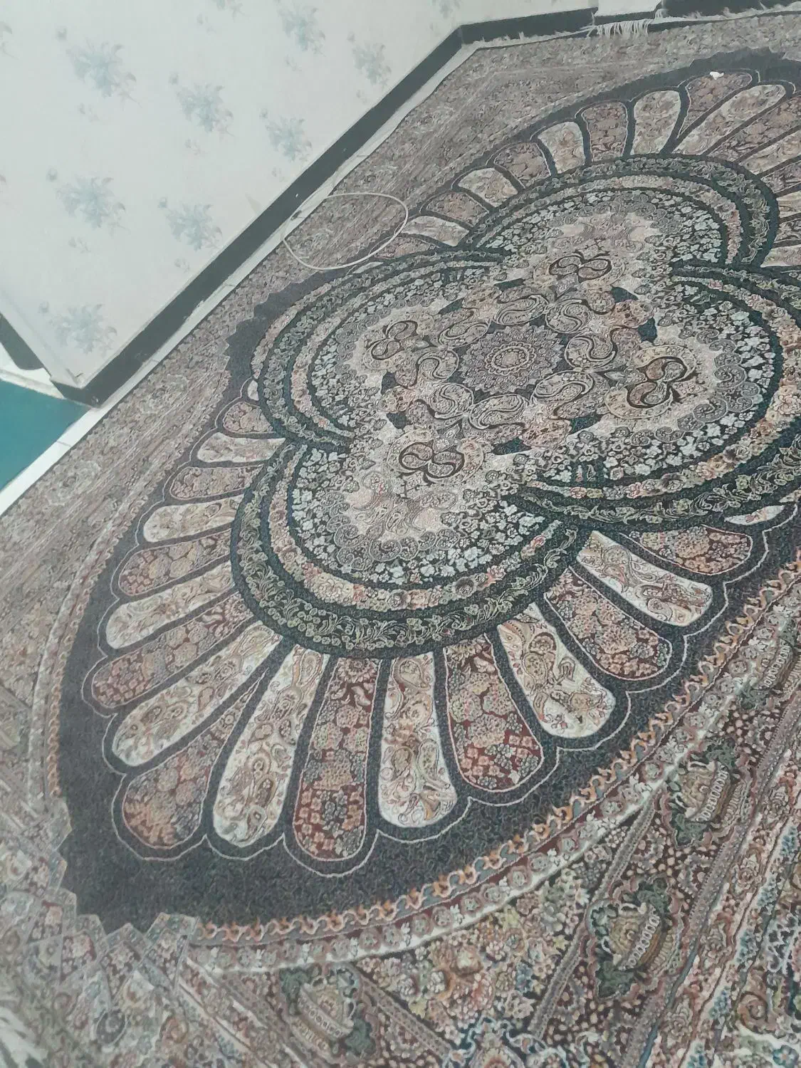 فرش فروشی|فرش|محمدشهر, کوی بهار|دیوار