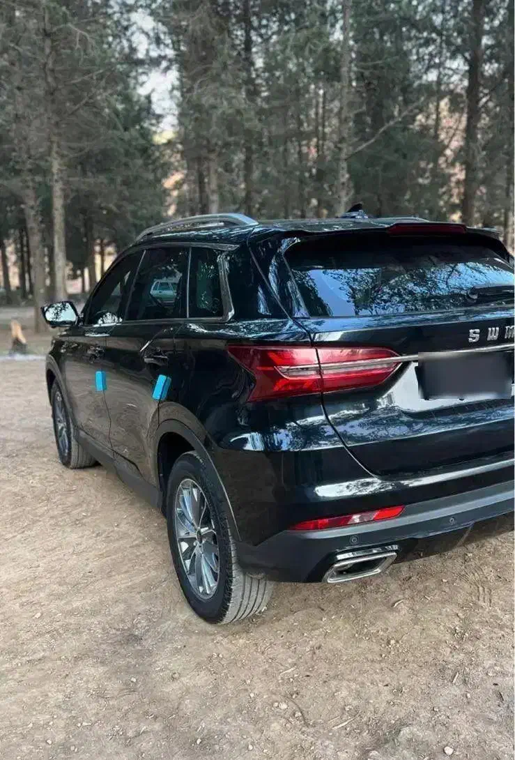 اس دبلیو ام swm|خودرو سواری و وانت|تهران, مینابی|دیوار