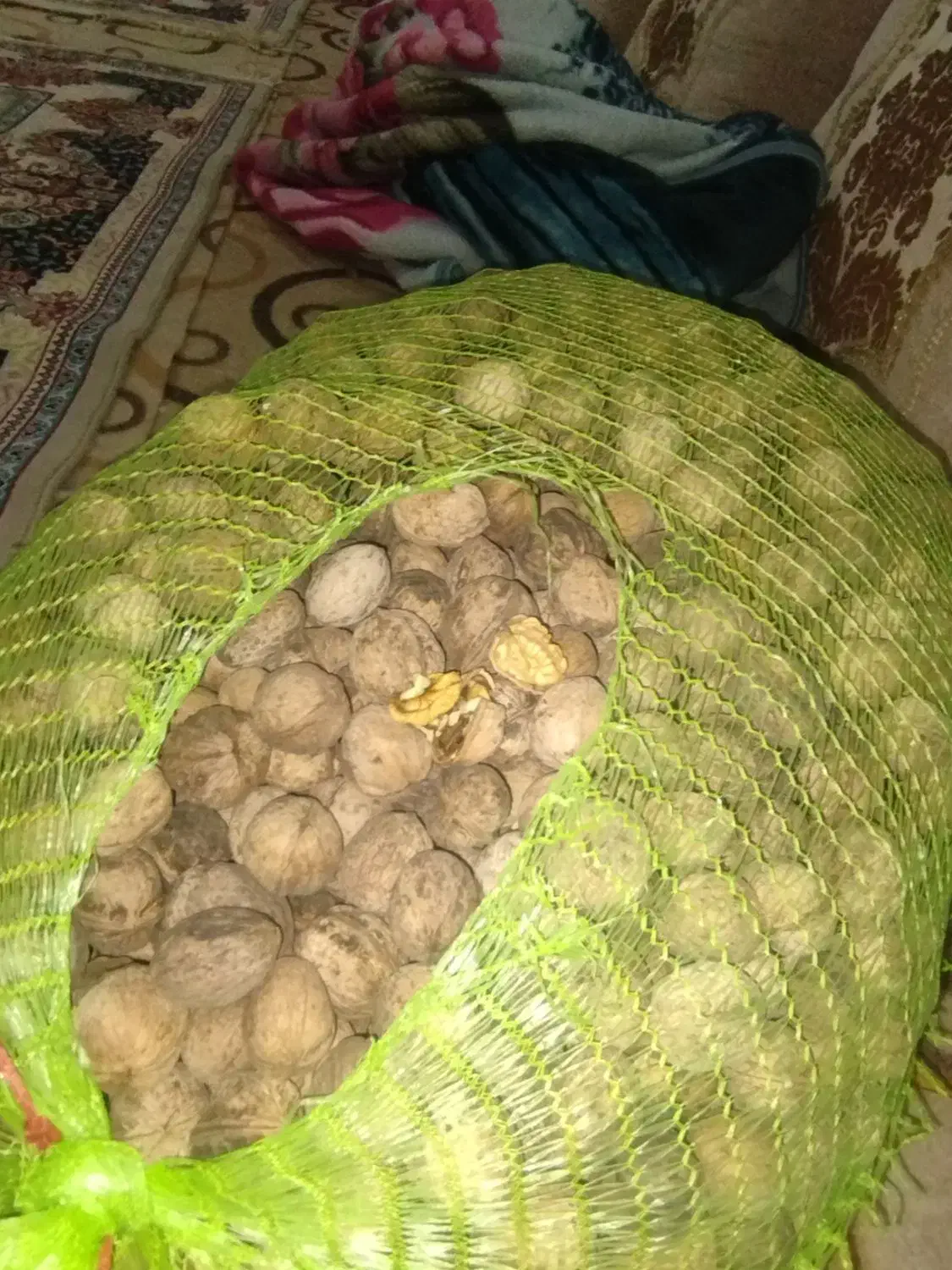 گردو کشاورزی اندازه متوسط مغز پر قیمت 290هزار|خوردنی و آشامیدنی|سیلوانه, |دیوار