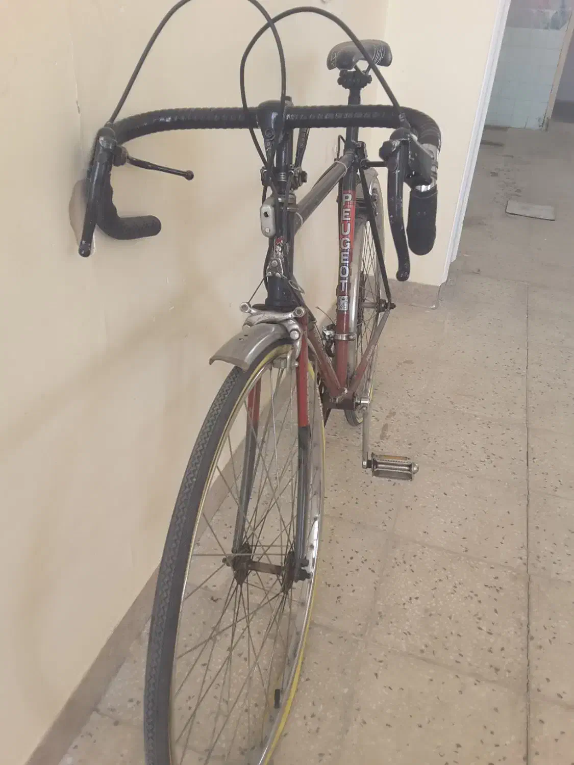 دوچرخه|دوچرخه، اسکیت، اسکوتر|شیراز, گلدشت معالی‌آباد|دیوار