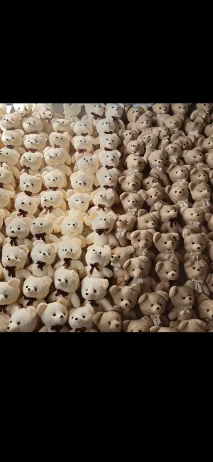 عروسک خرس باکسی ۱۵سانتی و رنگ متنوع|عمدهفروشی|رشت, دروازه لاکان|دیوار