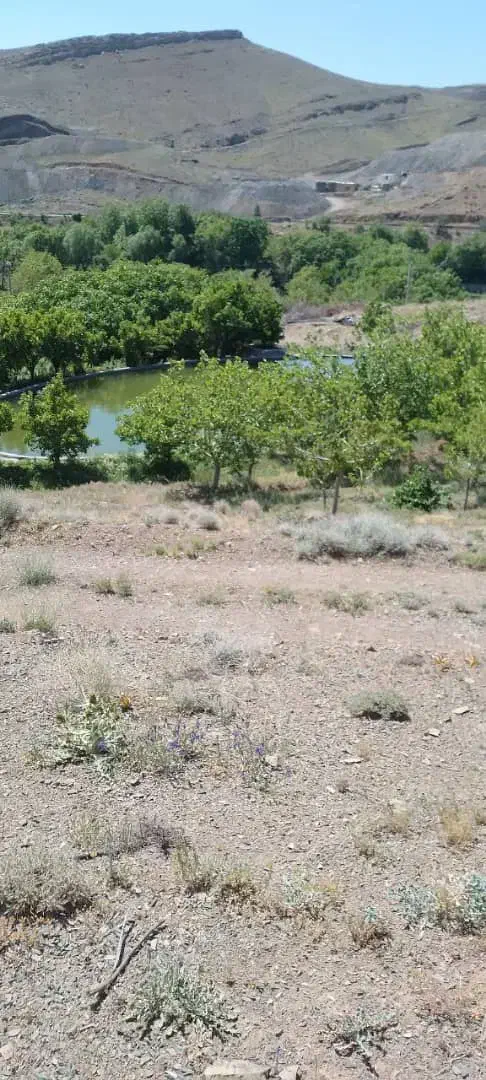 مشارکت در ساخت|مشارکت در ساخت املاک|خلجستان, |دیوار