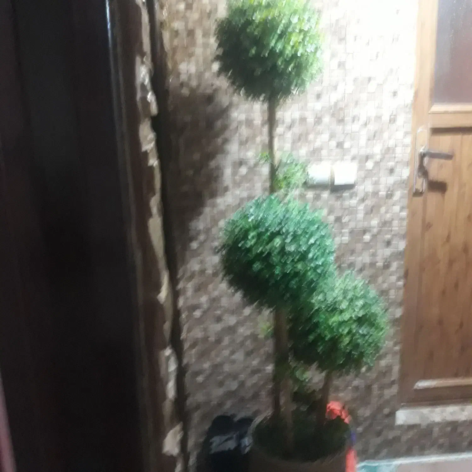 درختچه مصنوعی با گلدان حصیری|گل مصنوعی|آمل, |دیوار