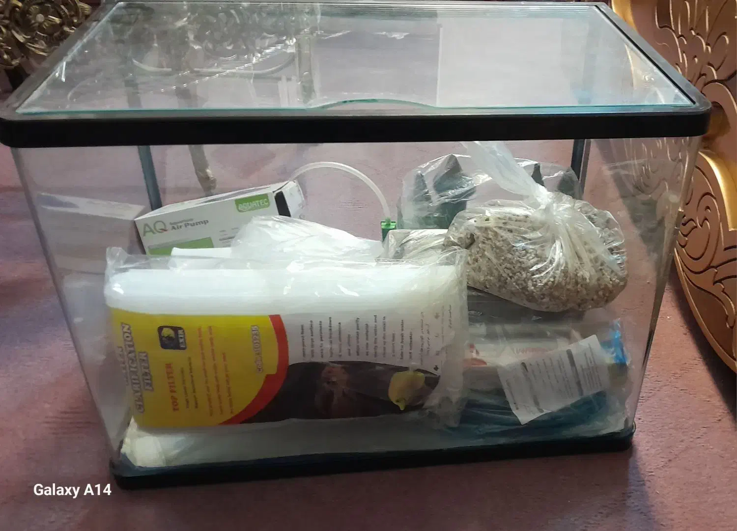 آکواریوم|ماهی|قم, شاه احمد قاسم|دیوار