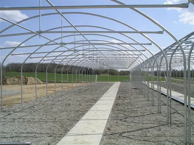 خریدار سازه گلخانه|خدمات باغبانی و درختکاری|کاشمر, |دیوار