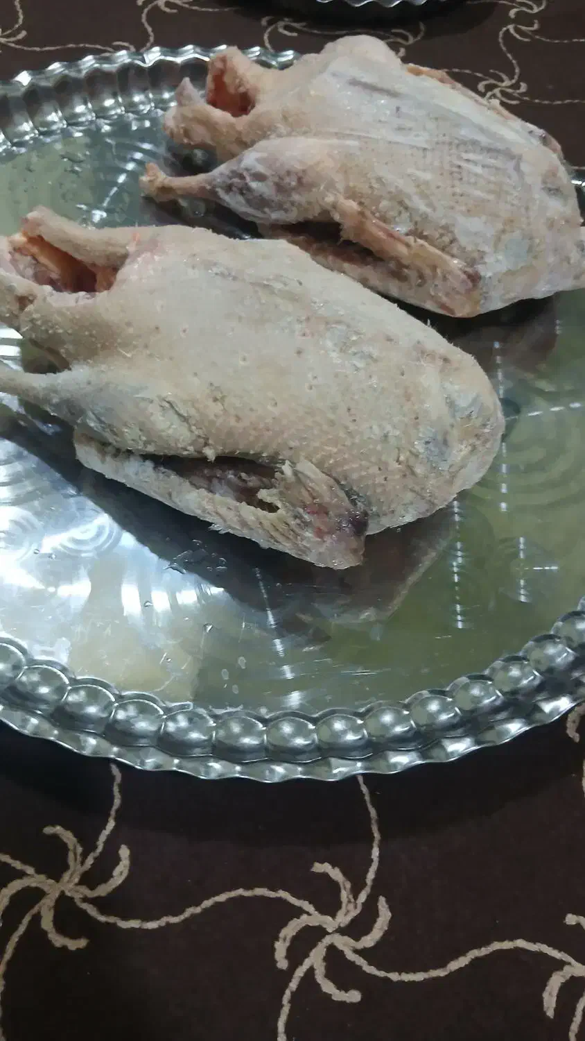 غاز و مرغ پا کرده|حیوانات مزرعه|بندر ماهشهر, |دیوار