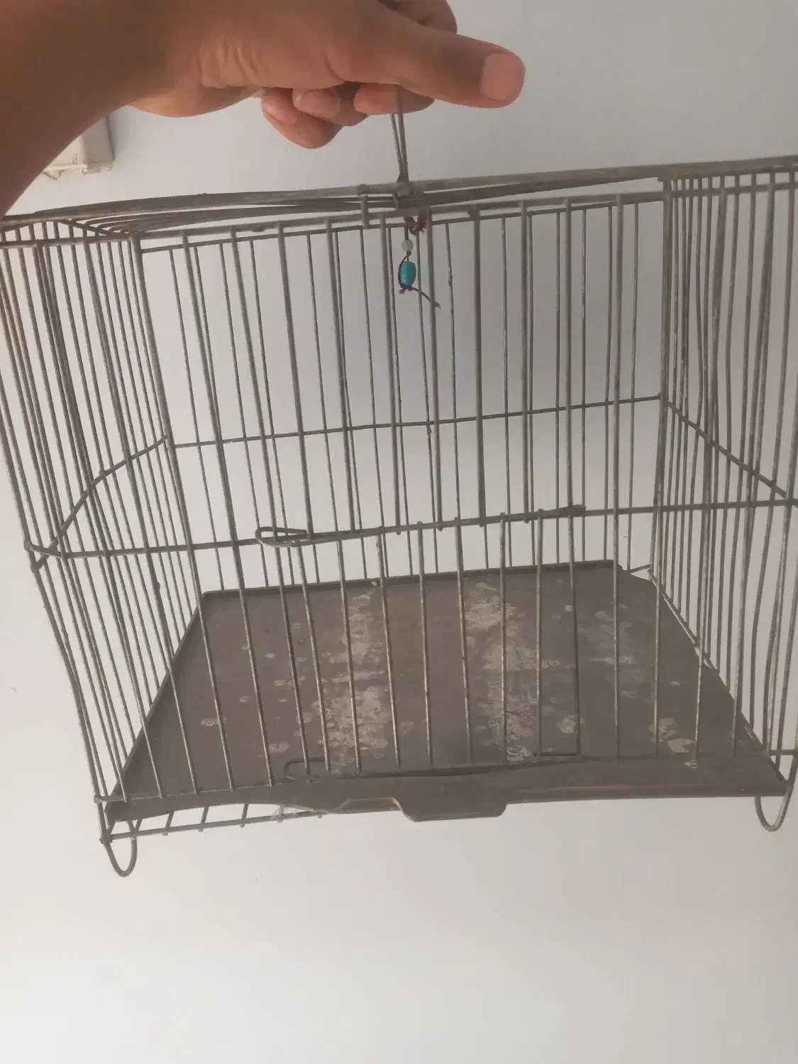 قفس پرنده|لوازم جانبی حیوانات|ری, فیروزآبادی|دیوار