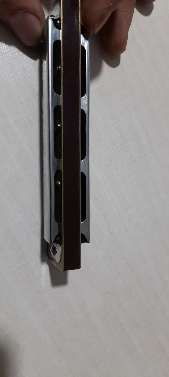 ساز دهنی|سازهای بادی|مشکین‌دشت, |دیوار