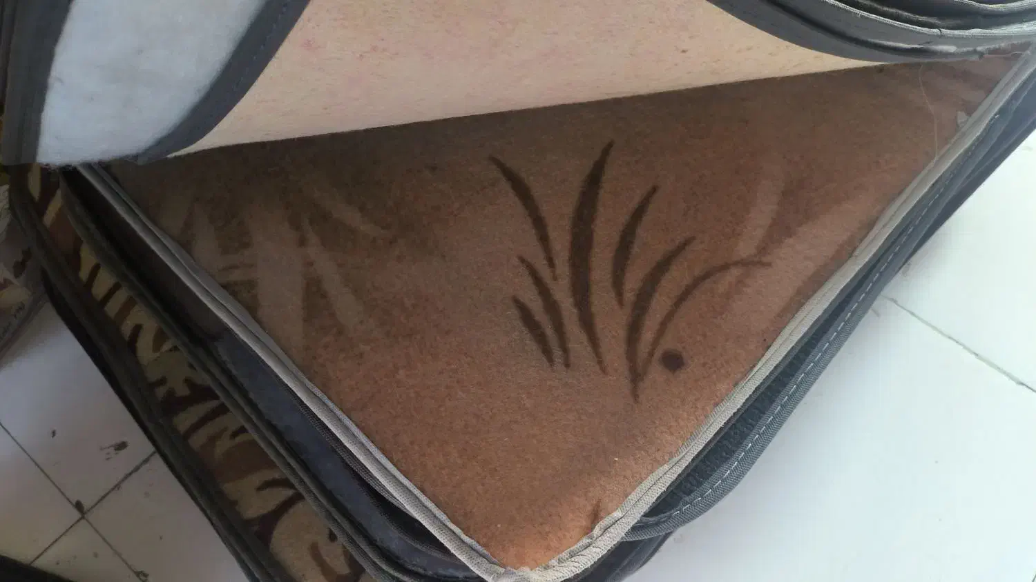 دنیای پا دری همین جاست|پادری|گلبهار, شهر جدید گلبهار|دیوار