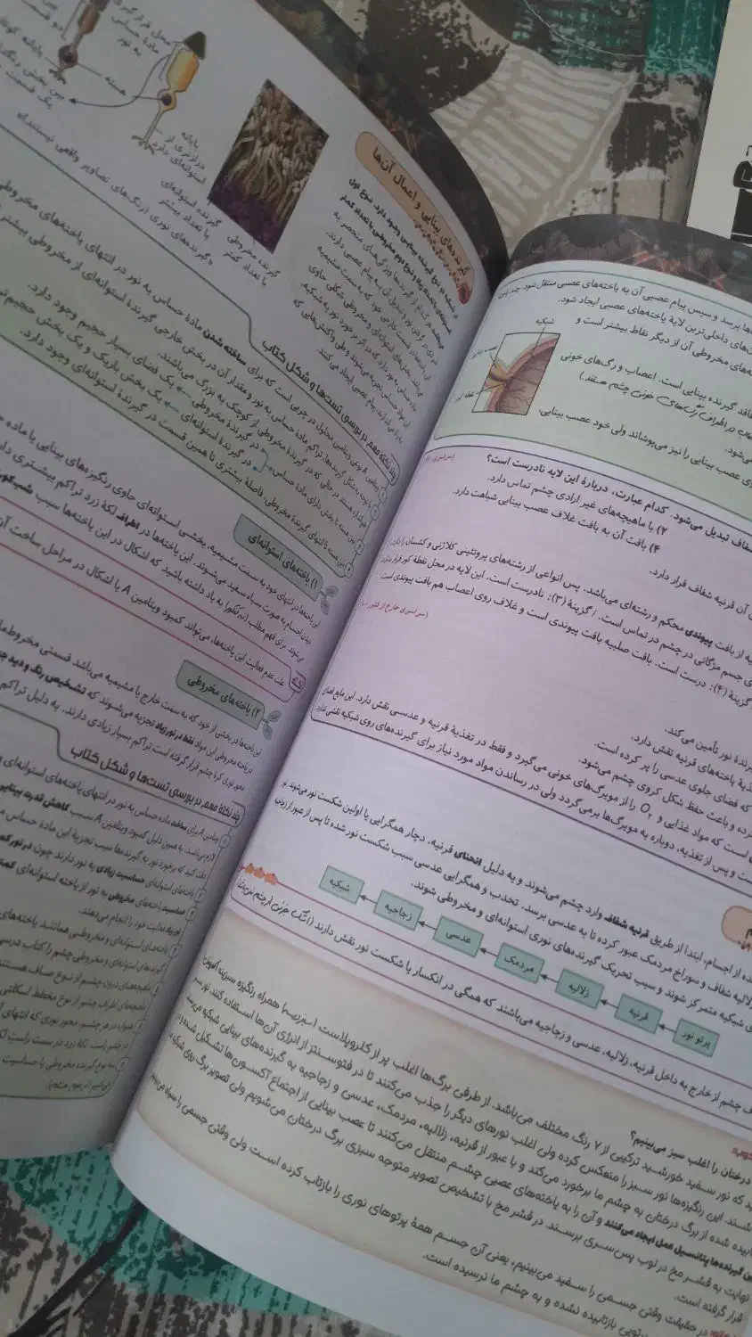 زیست شناسی کنکور نشر الگو|کتاب و مجله آموزشی|آشخانه, |دیوار