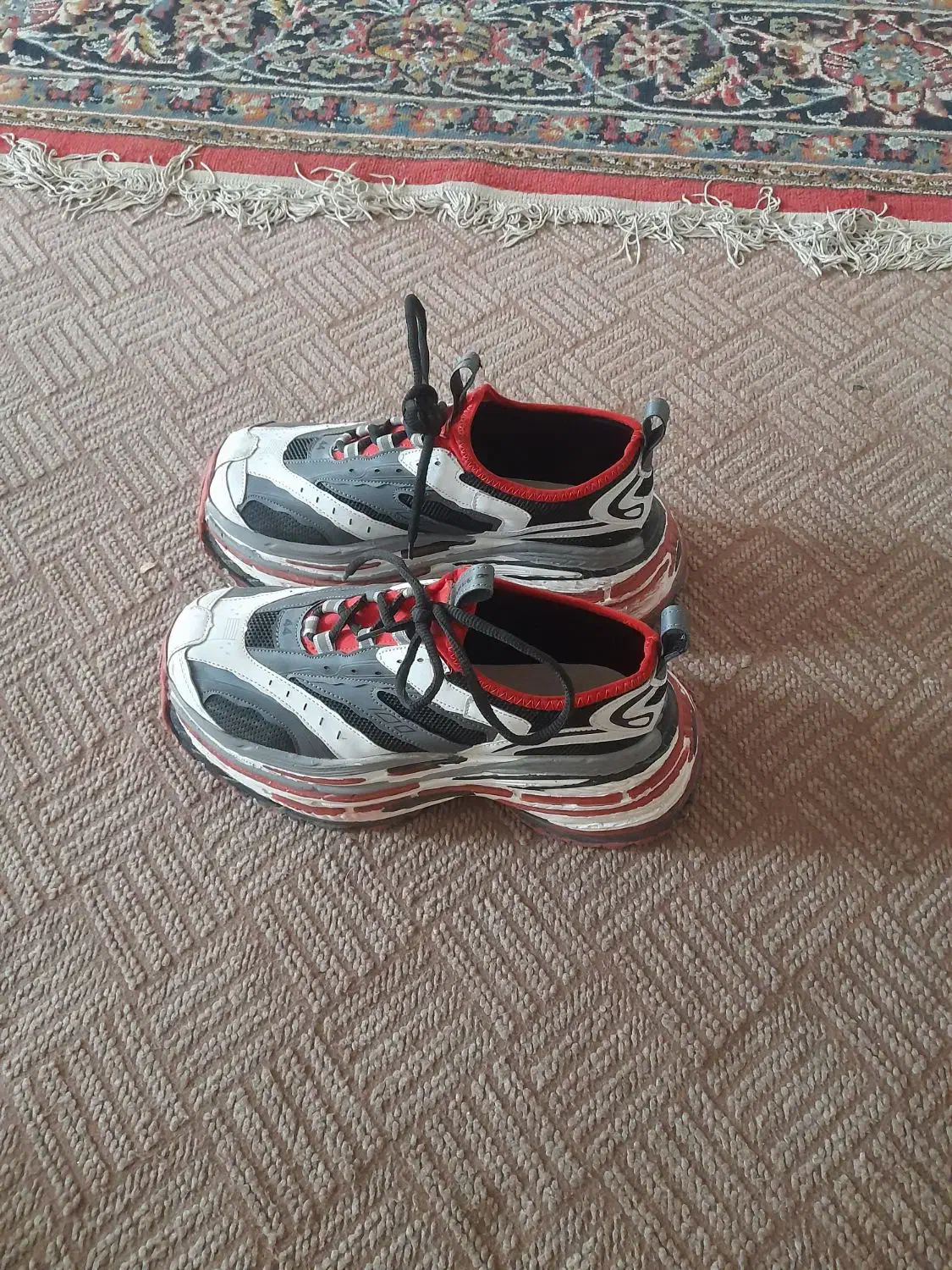 کفش بالنسیاگا|کیف، کفش، کمربند|دوگنبدان, |دیوار