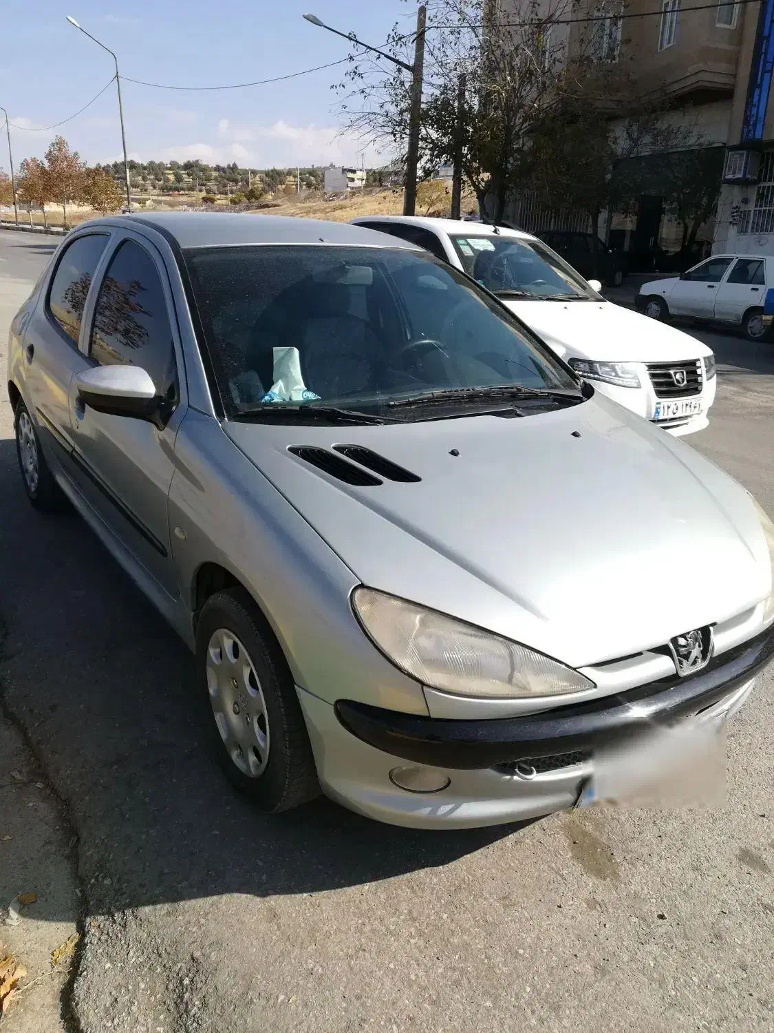 206 تمام رنگ شاسی سالم|خودرو سواری و وانت|کامیاران, |دیوار