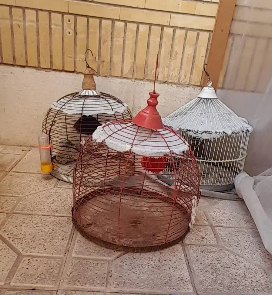 قفس|لوازم جانبی حیوانات|اصفهان, سپاهان‌شهر|دیوار