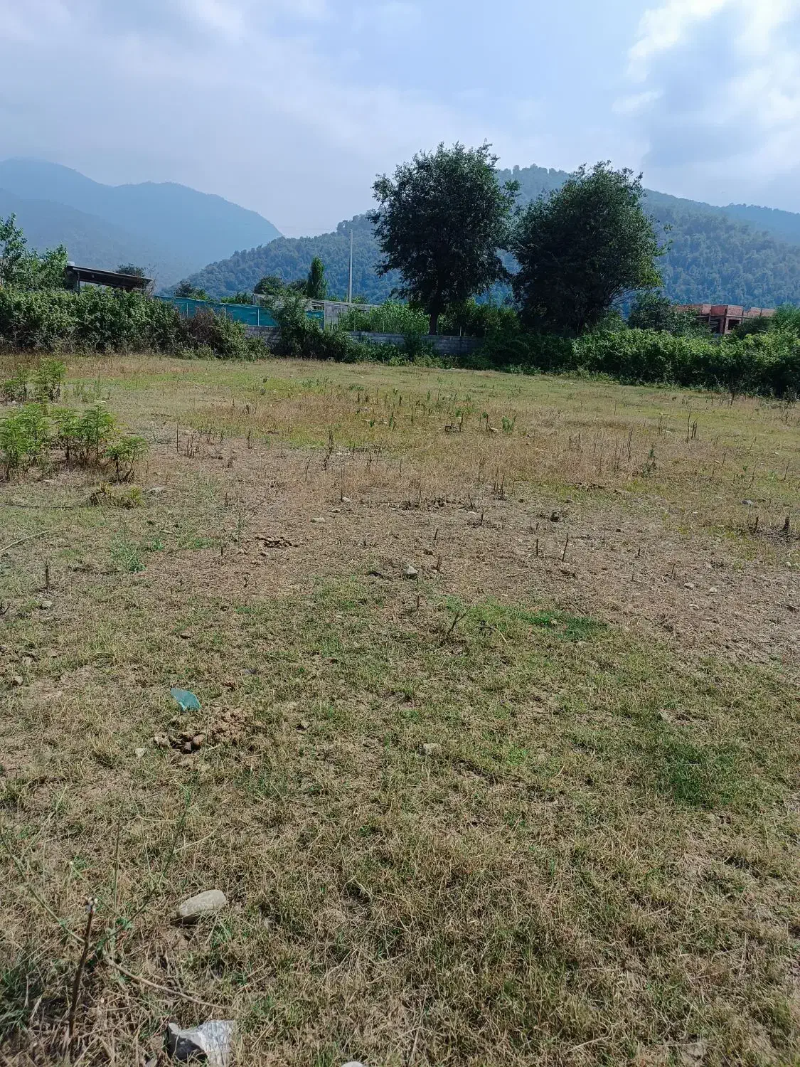 زمین 600 متری شکار بر اصلی توسکستان|فروش زمین و ملک کلنگی|گرگان, |دیوار