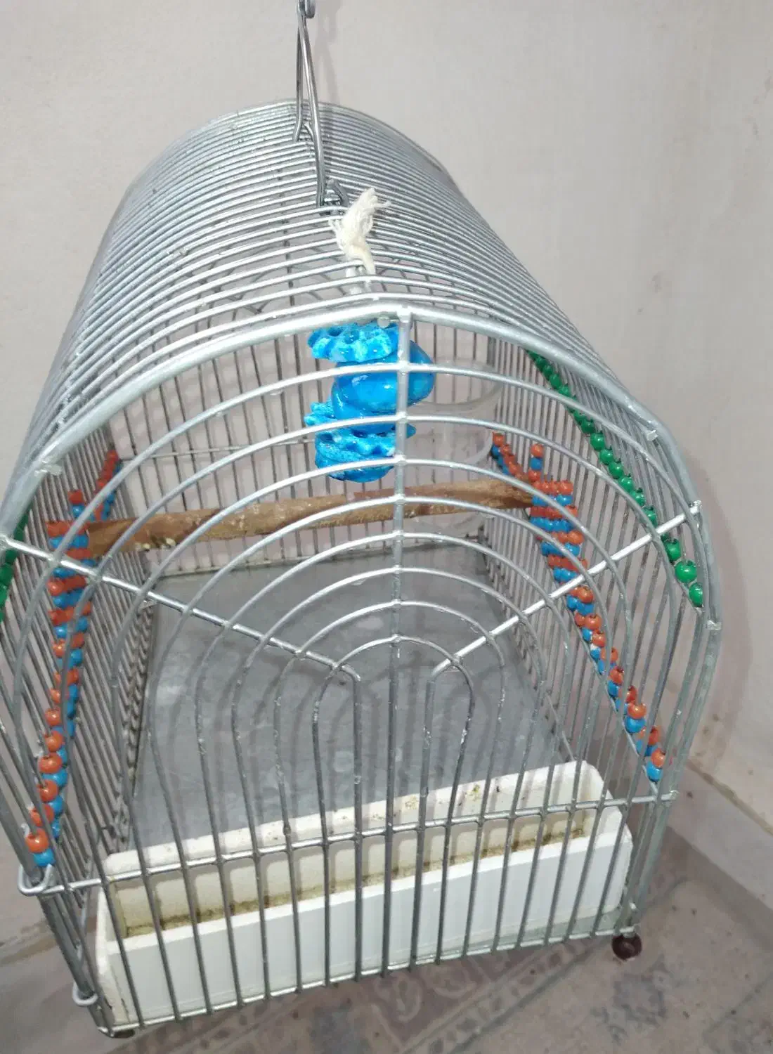 قفس سهره|لوازم جانبی حیوانات|شاهین‌شهر, مسکن مهر|دیوار