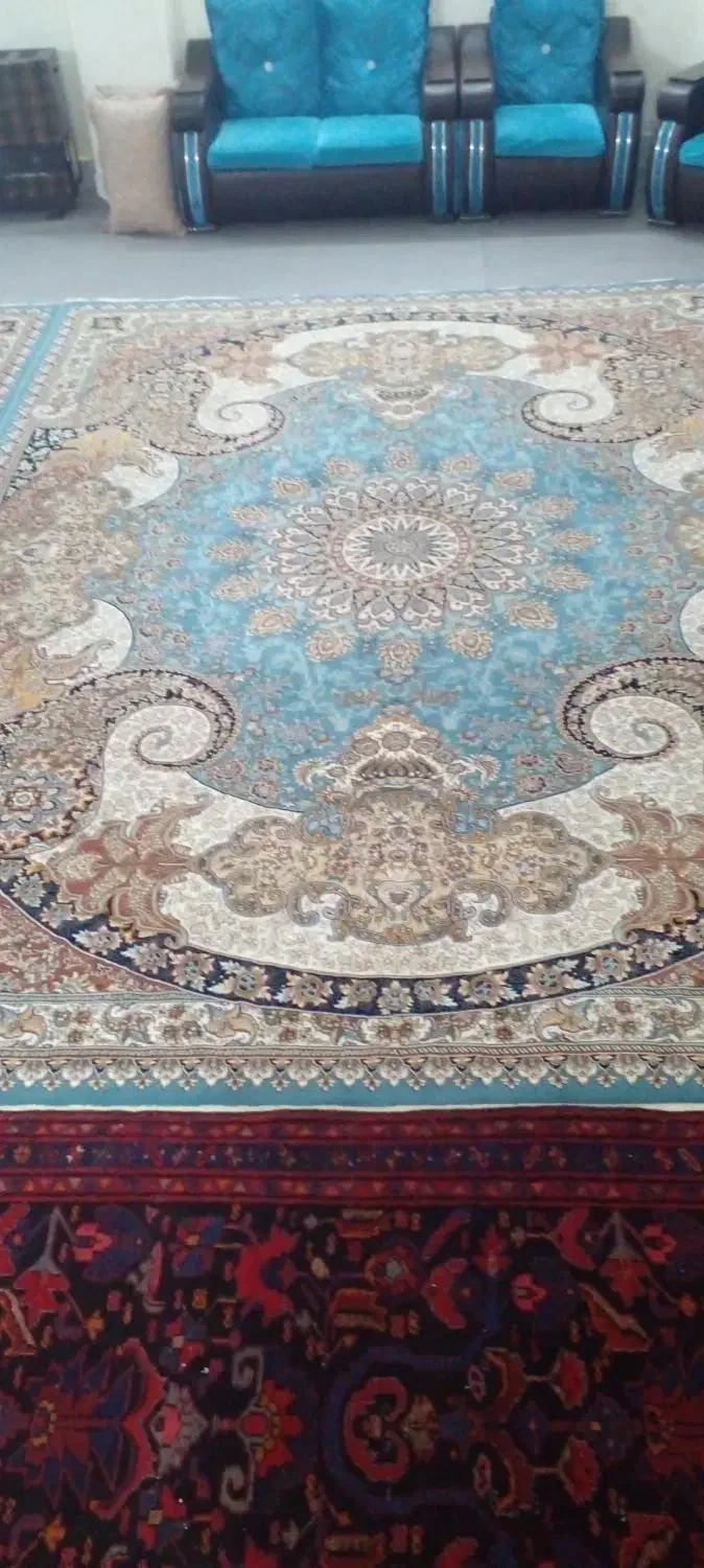 فرش|فرش|زنجان, |دیوار