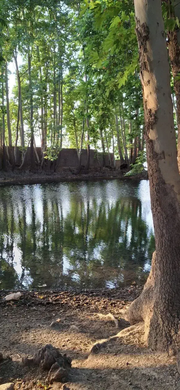 طبیعت گردی|گردهمایی و همایش|مشهد, امیر|دیوار