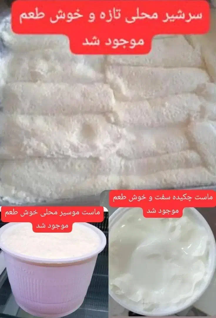 ماست گوسفندی شیر برنج سرشیر|خوردنی و آشامیدنی|بندر ماهشهر, |دیوار