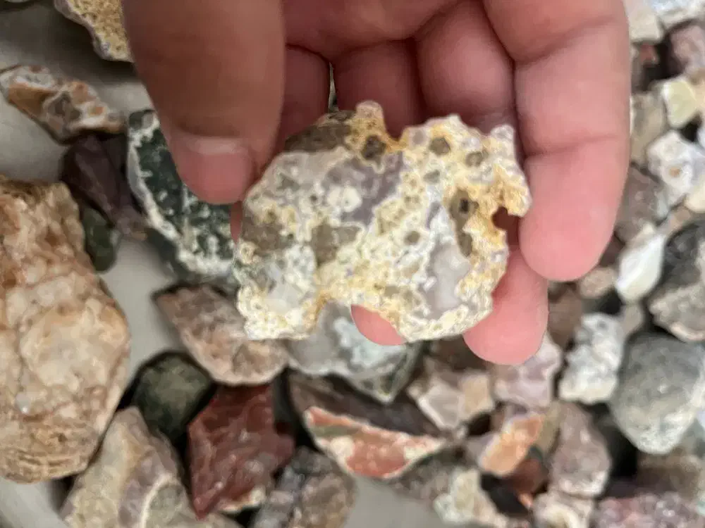 سنگ عقیق|کلکسیون و سرگرمی|تربت‌حیدریه, قائم|دیوار