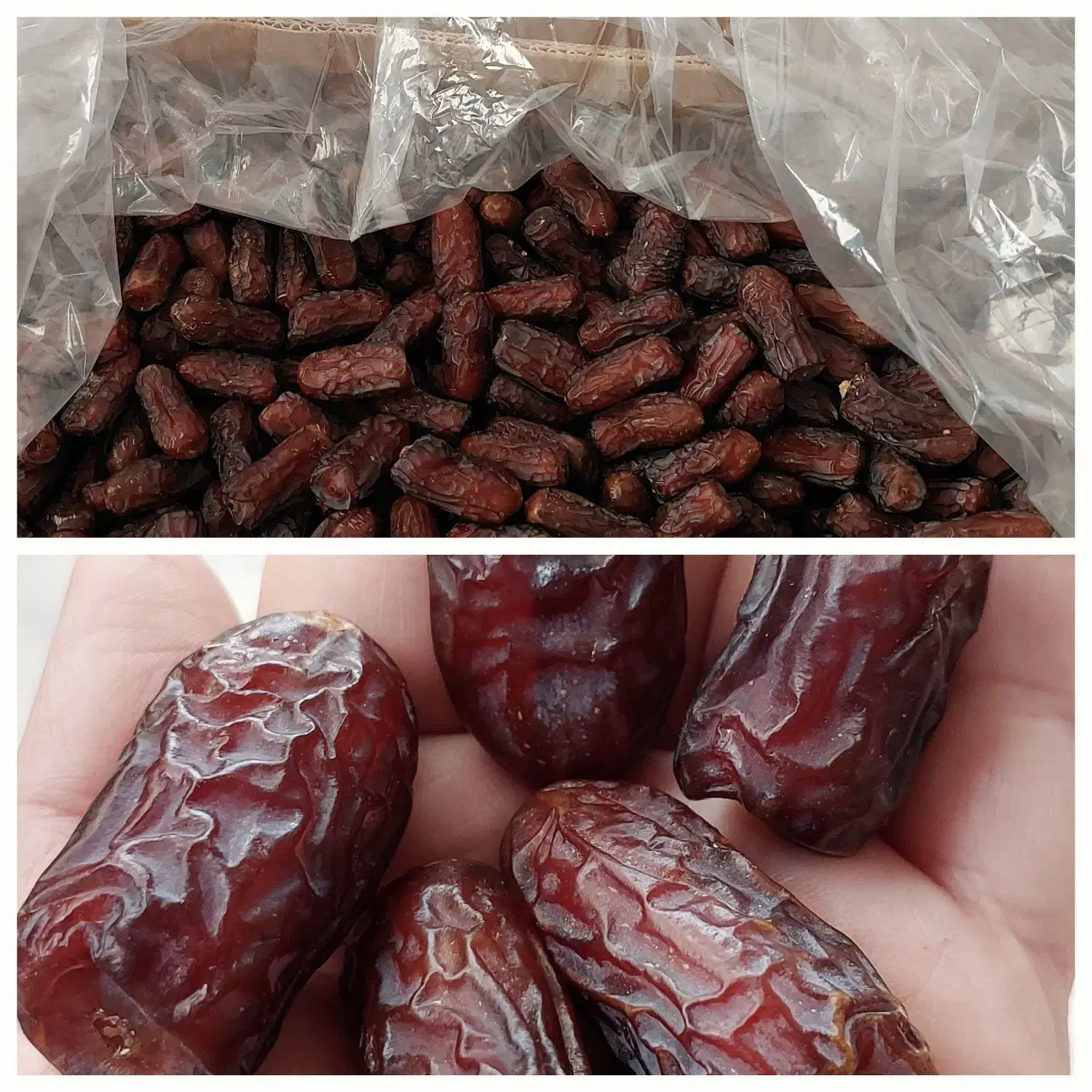 خرمای پیارم لوکس و صادراتی حاجی آباد|خوردنی و آشامیدنی|حاجی آباد, |دیوار