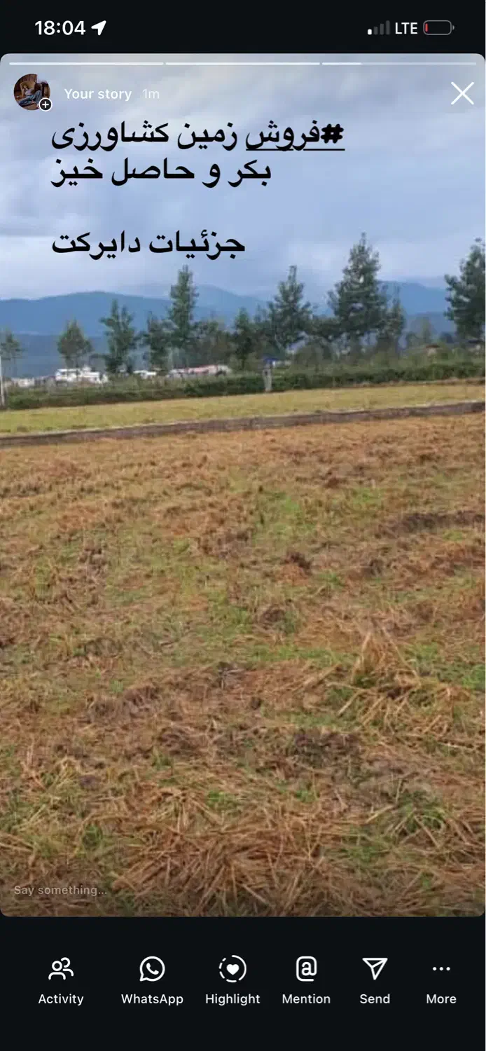 فروش زمین کشاورزی|فروش زمین و ملک کلنگی|خرم بید, |دیوار