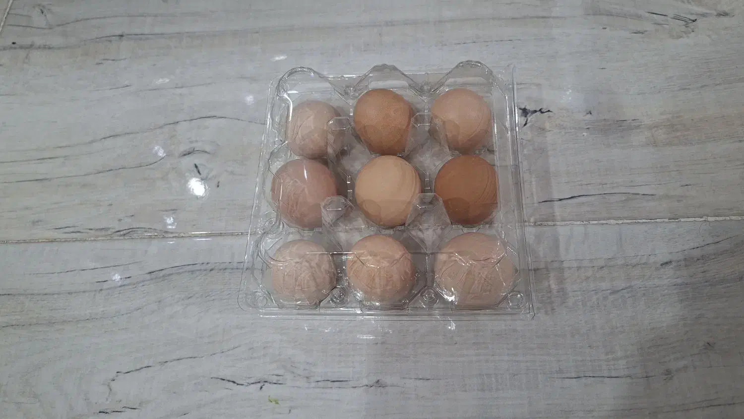 تخم مرغ محلی با بهترین کیفیت دان|خوردنی و آشامیدنی|رفسنجان, |دیوار