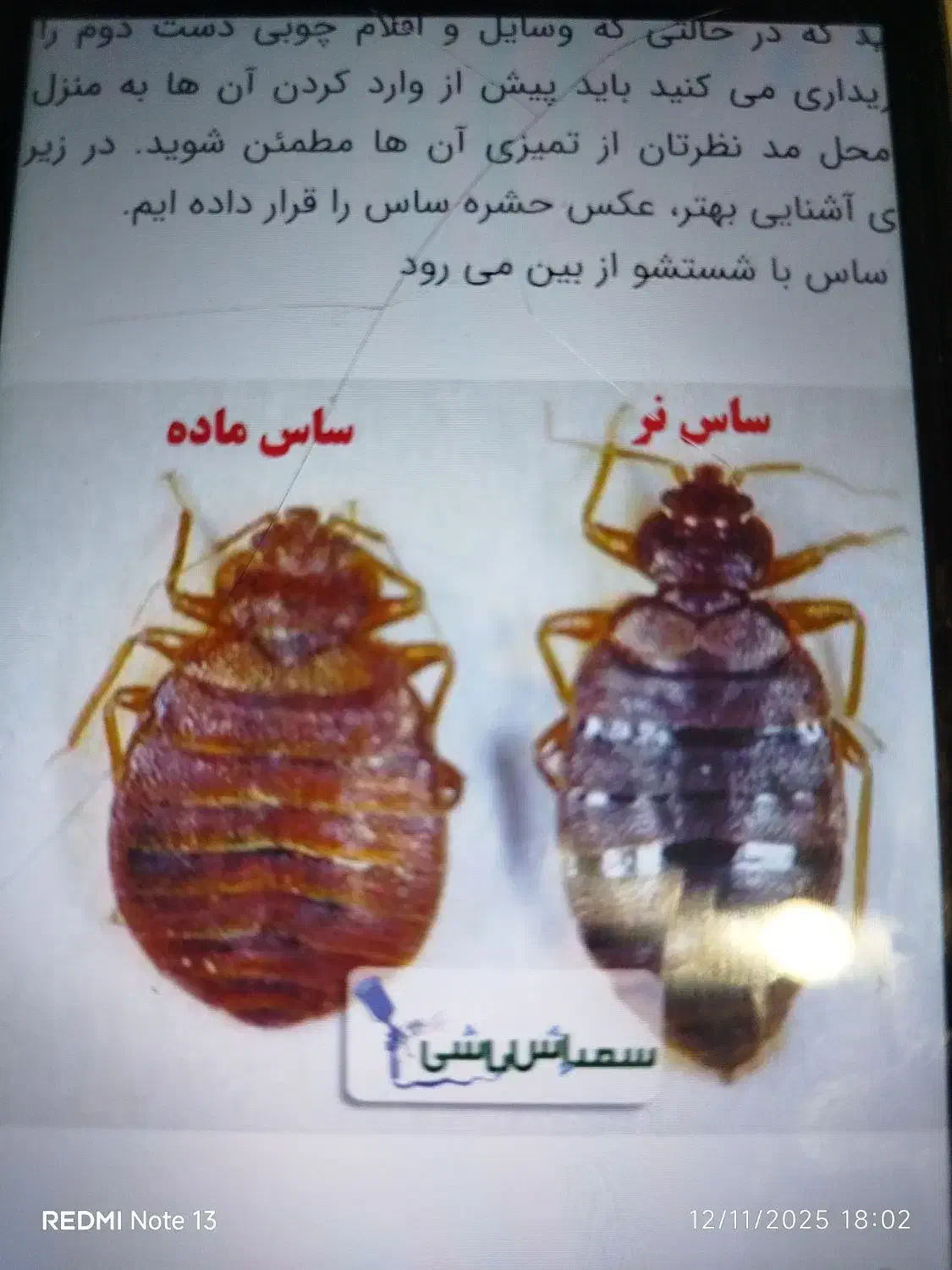 سم پاشی منازل و کارگاه های صنعتی و دام و طیور|خدمات نظافت|محمدیه-قزوین, |دیوار