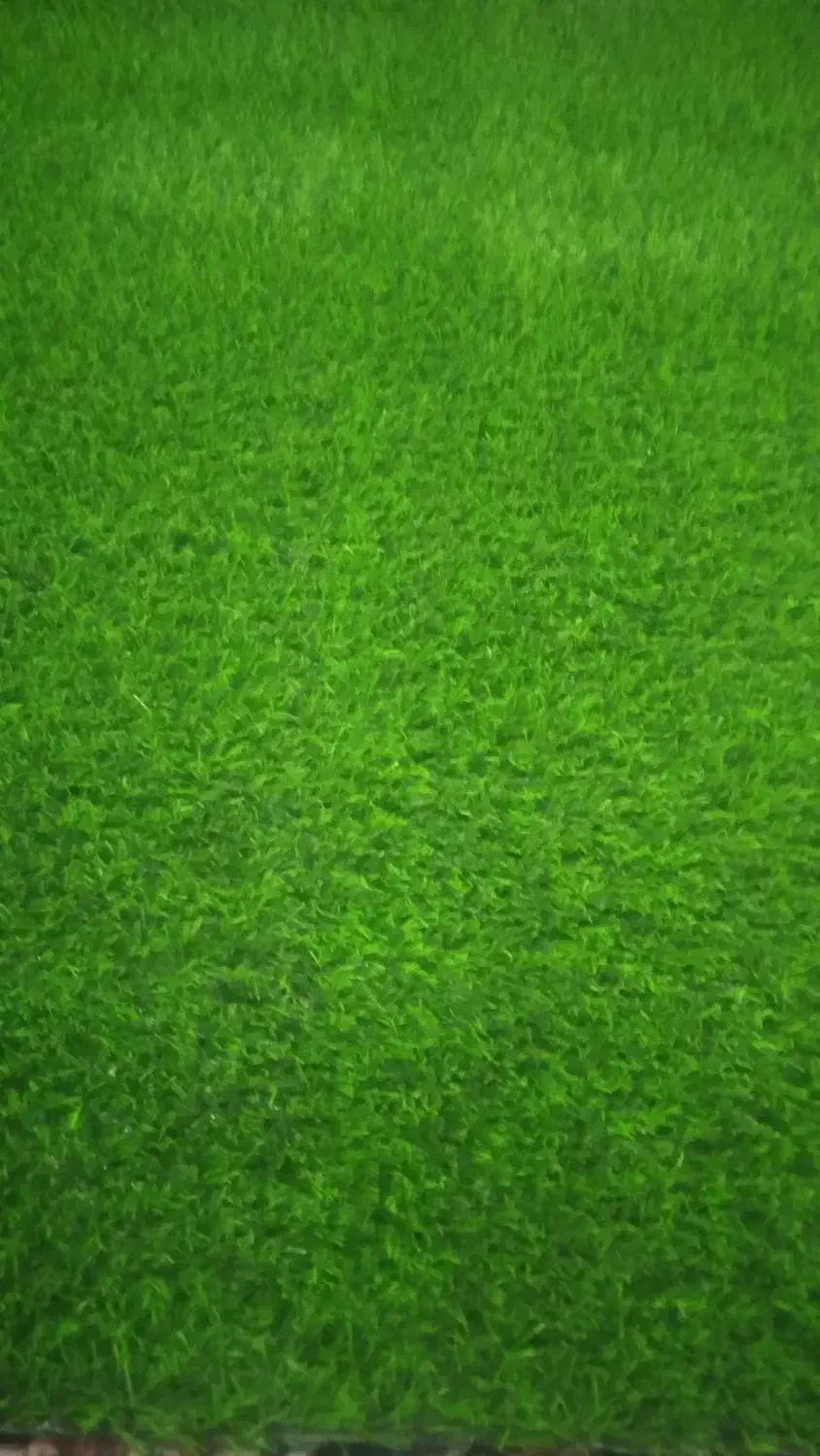 چمن مصنوعی|گل مصنوعی|ایذه, |دیوار